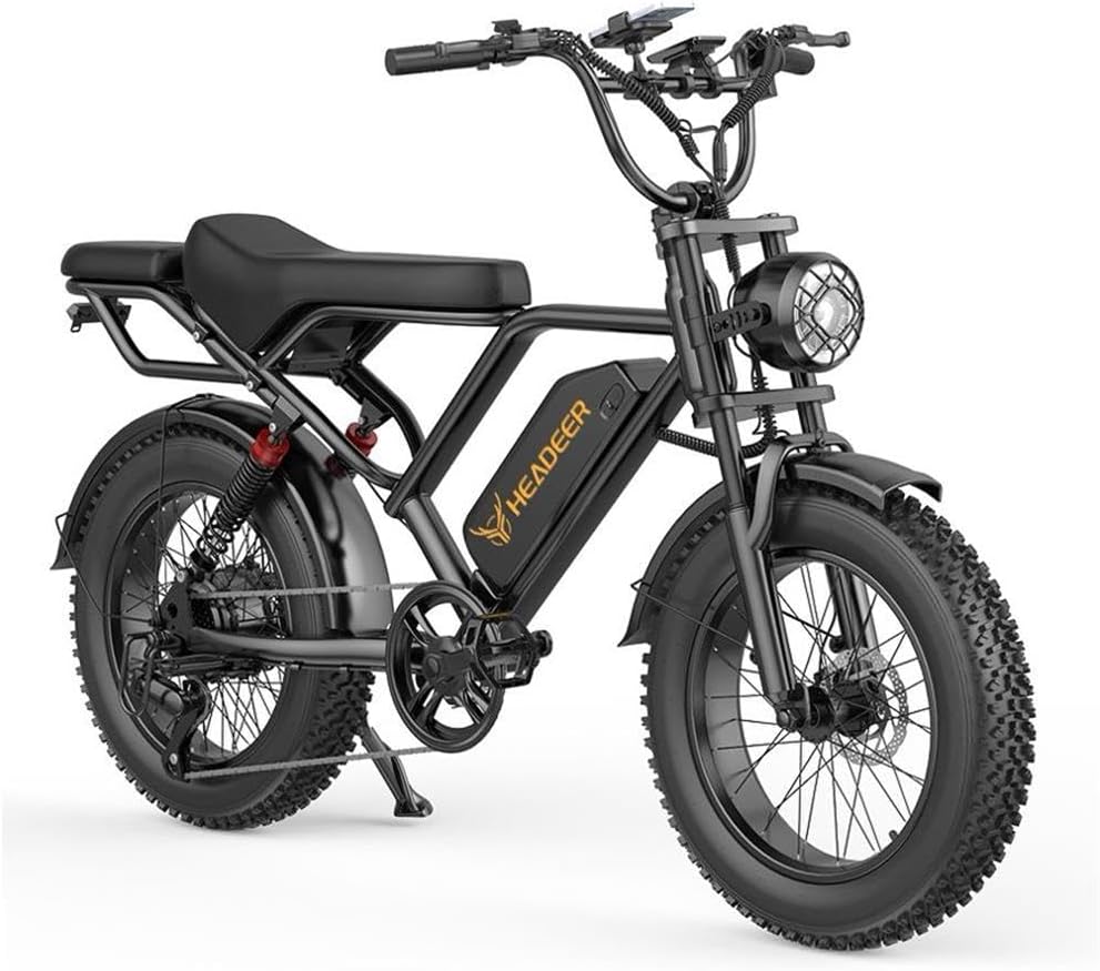 BK20 Electric Bike for Adults, 48 V, 20 Ah, Removable Battery, Large Range, Wide Tyres 20 x 4.0, Electric Mountain Bike, Electric Bike, All-Terrain Electric Bike.