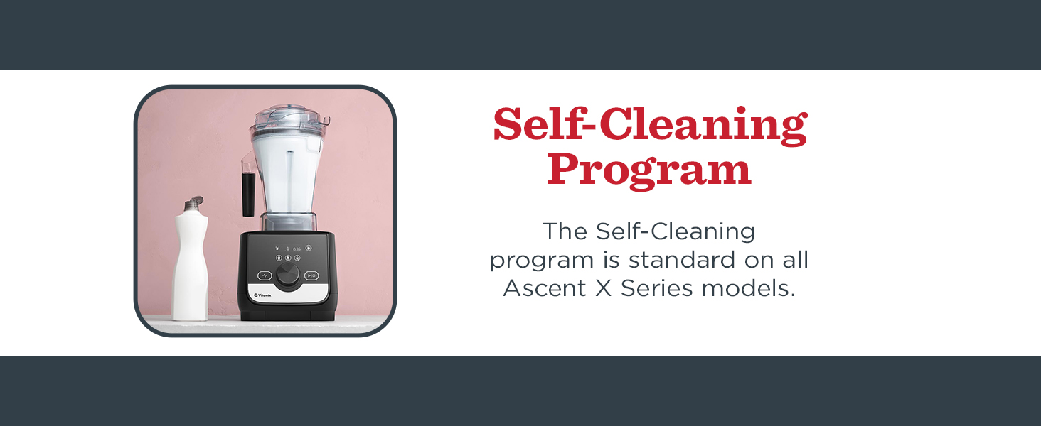 self clean