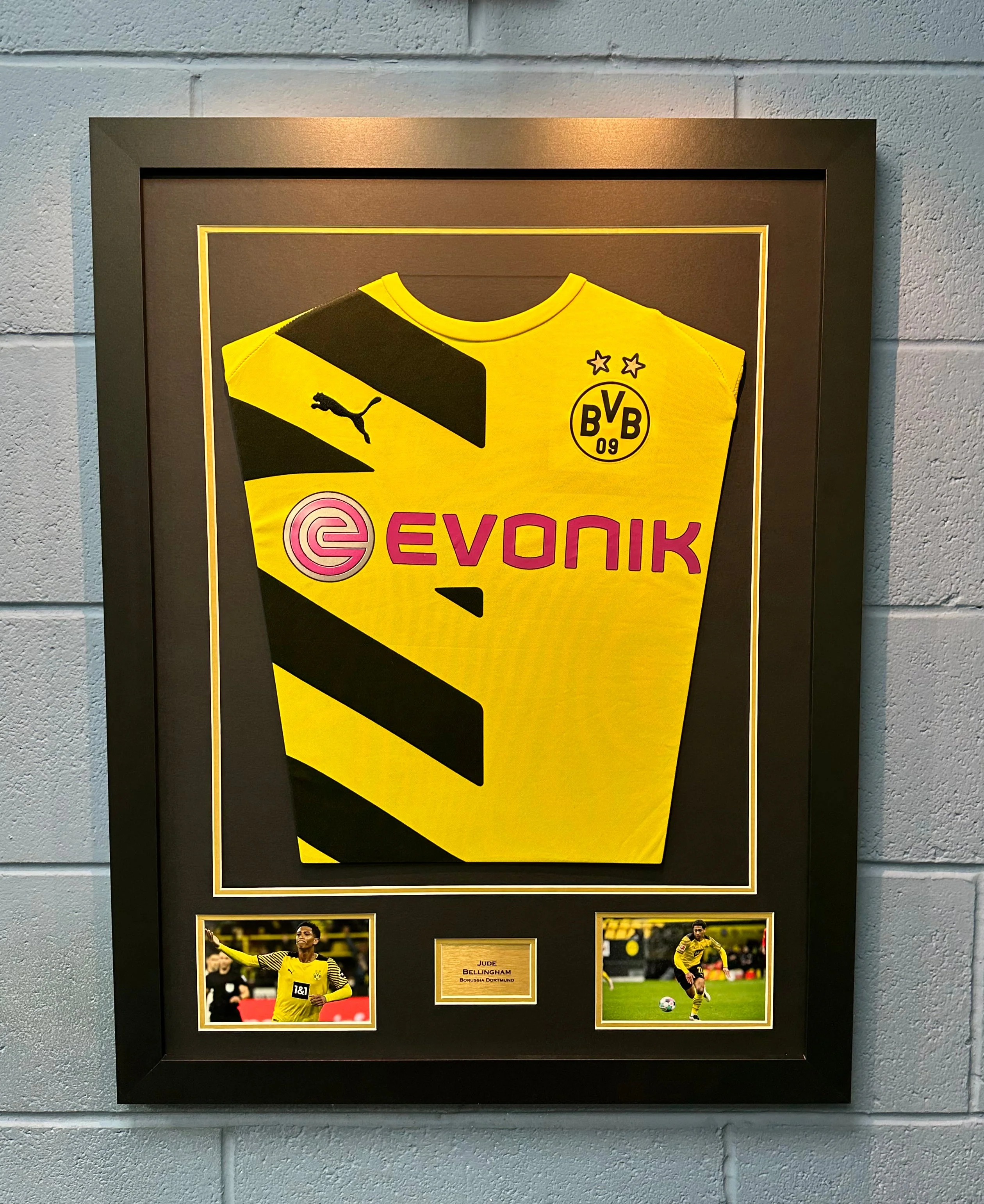 Readymade Shirt Framing Kit. TWIN PACK with free personalised plaque.