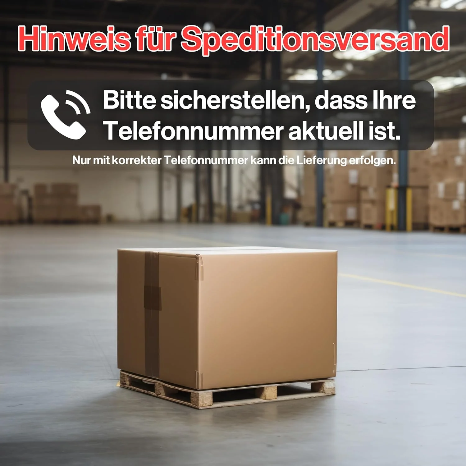 2026 ProTermo Alpina G Anthrazit Kaminofen mit Schamottstein - 8 kW Heizleistung - Kaminofen Holzofen mit Sichtfenster, Bauart 1