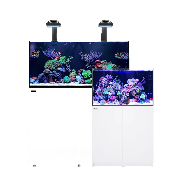 Aquarium Lighting