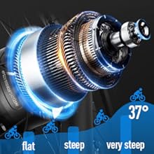 electric bicycle for adults