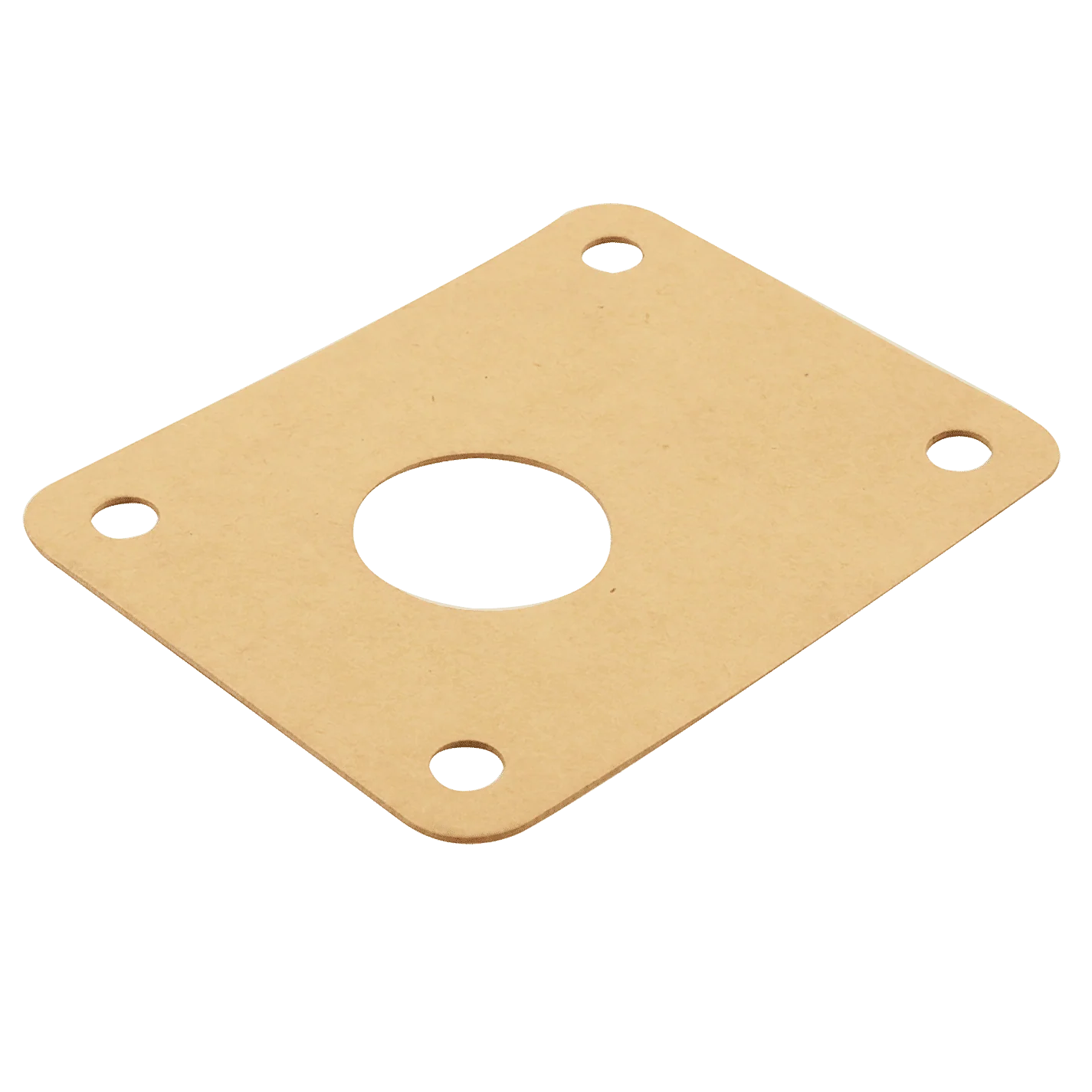 FT Pro - PG-2 Gr 2 Gear Pump Mounting Gasket