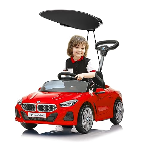 Voupou Toddlers Licensed Adjustable Birthday