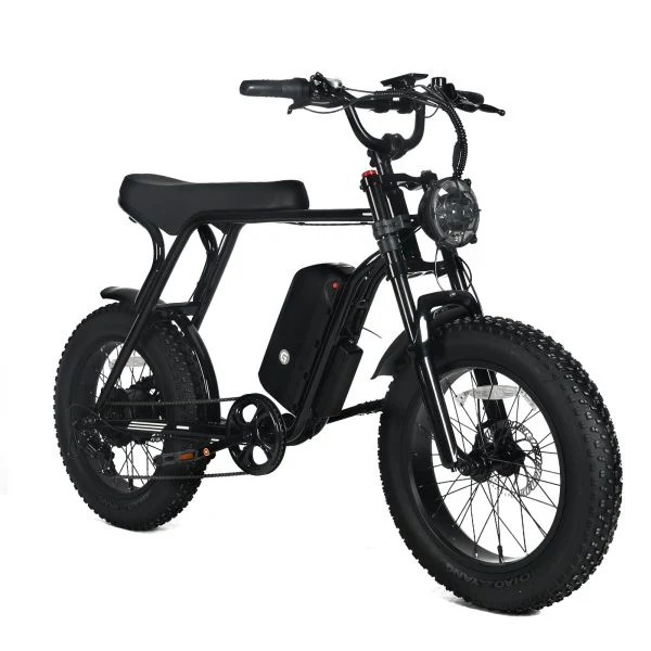 Electric Mountain Bike for Adults | 20 x 4.0 Fat Tires, 1000W Motor, 48V 20Ah Removable Battery, Max Speed 45MPH, Shi Mano 7-Speed for Off-Road Adventures