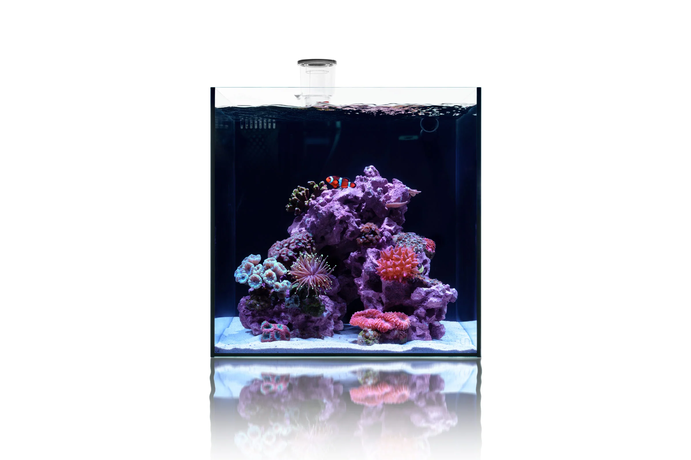 UNS 40A Dual AIO (16 Gal)