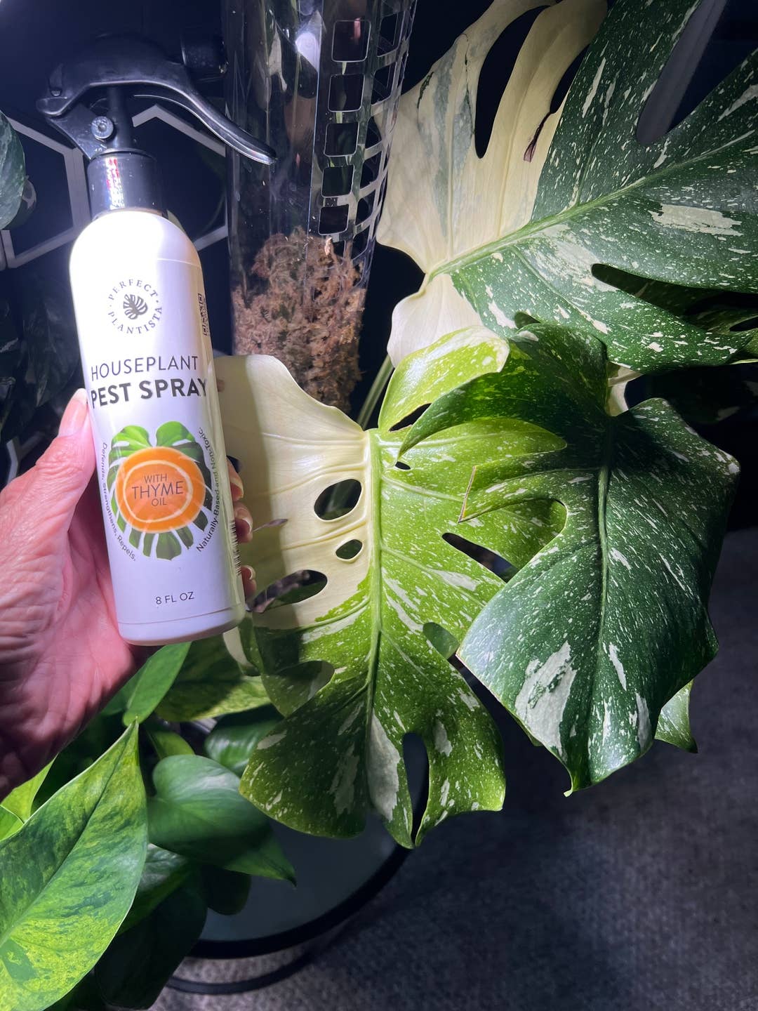 Natural + Non-Toxic Houseplant Pest Spray 16 oz PERFECT PLANTISTA