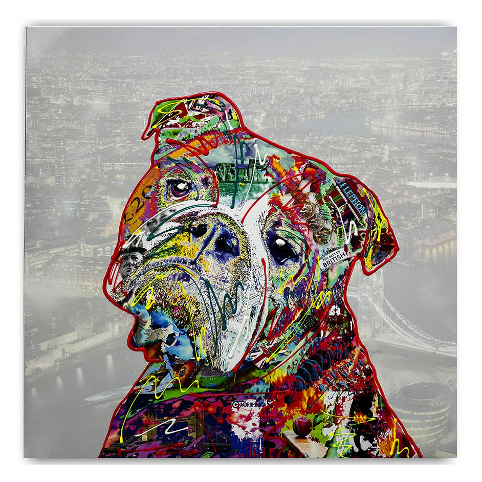 Atticus the Bulldog 2