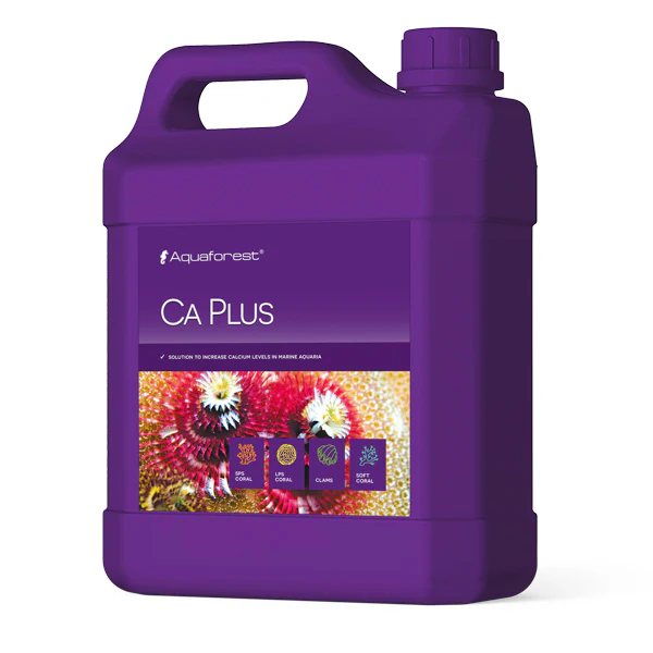 Ca Plus