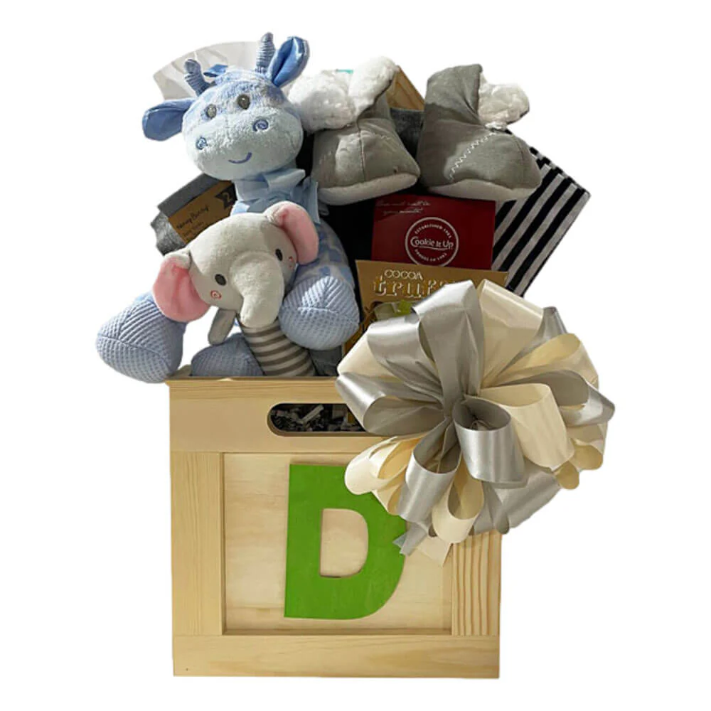 New Mom Gift Basket - Baby Box - Neutral