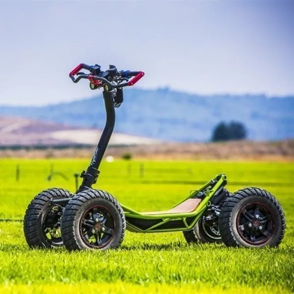 All-terrain 4X4 off-road vehicles(Limited to one)