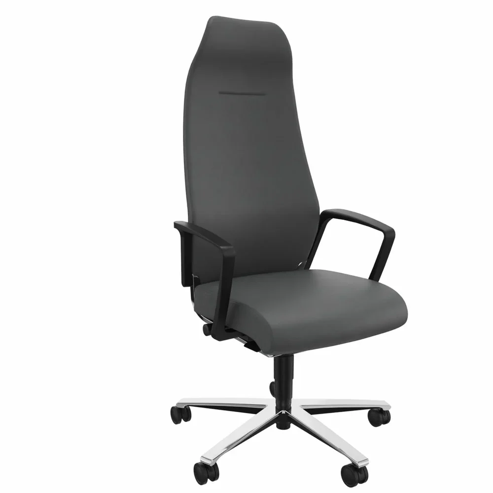 2025 Silla de Oficina Ergonómica Züco Selvio E 0156 Ejecutiva | Respaldo Alto Totalmente Acolchado | Reposacabezas