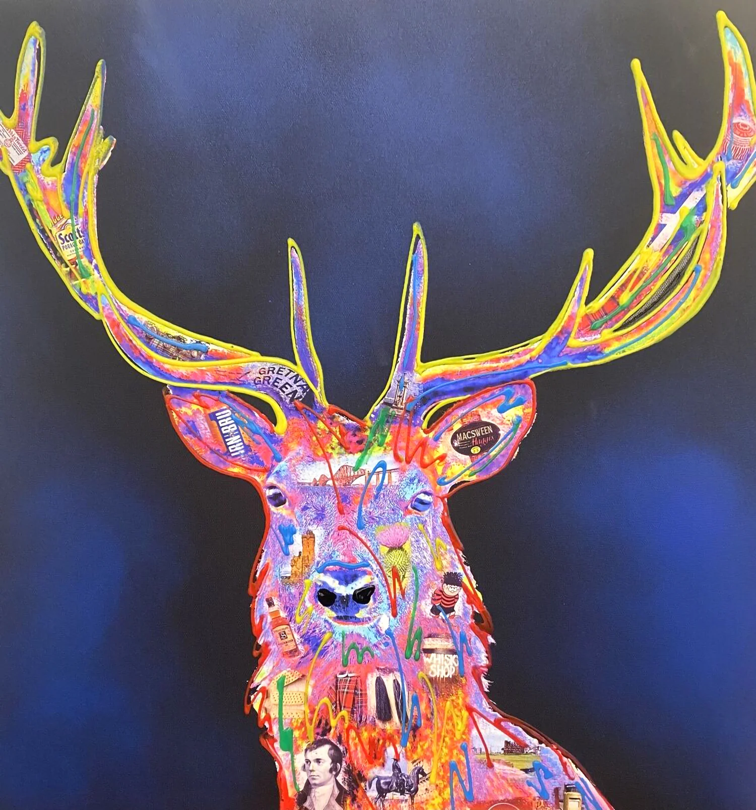 Scottish Stag Midnight