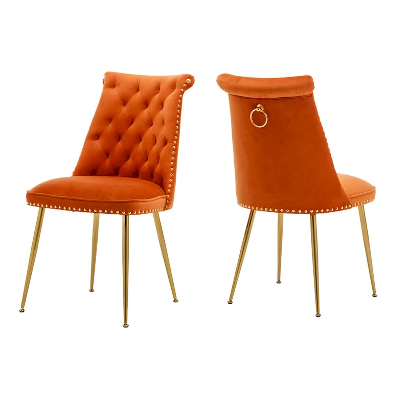 Clihome Modern Velvet Upholstered Featured Dining Chairs (Set of 2)