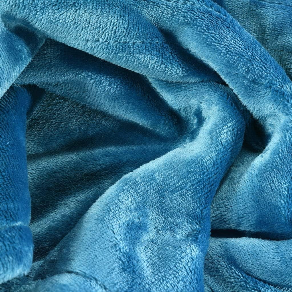 Heated Blanket with Hand Controller for 10 Heating Settings - Electric Blanket with auto Shut-Off ( Blue 50 x 60) - MedicalKingUsa