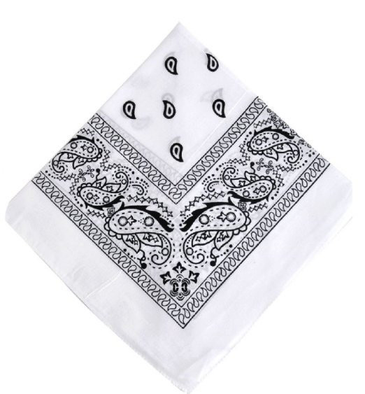 White Bandanna Paisley 22