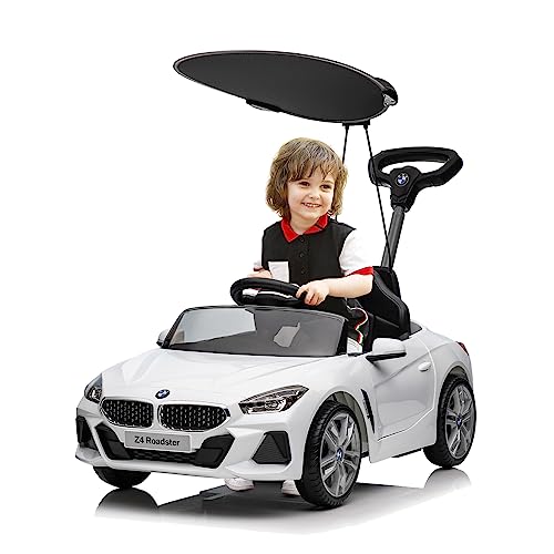 Voupou Toddlers Licensed Adjustable Birthday