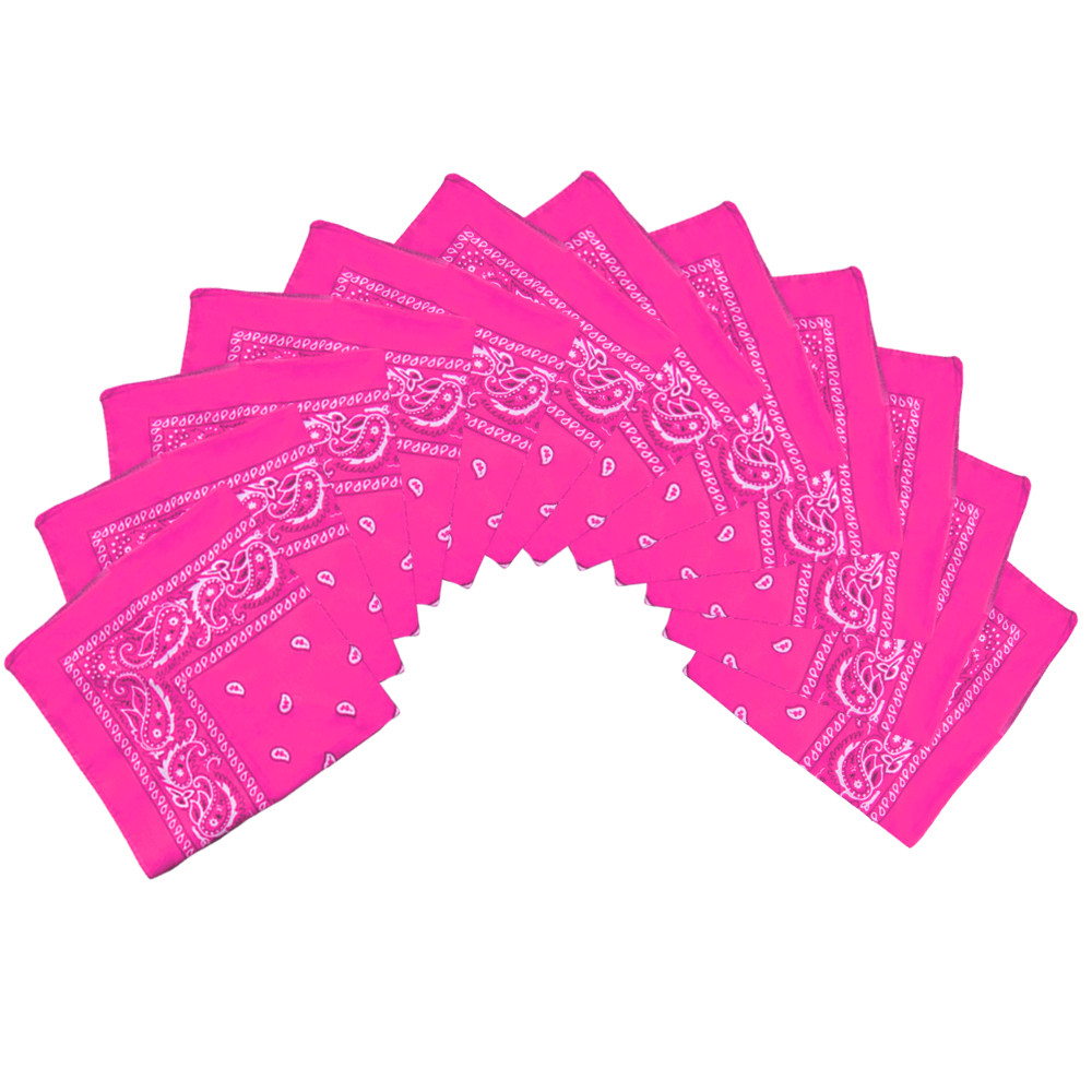 Hot Pink Bandana 22