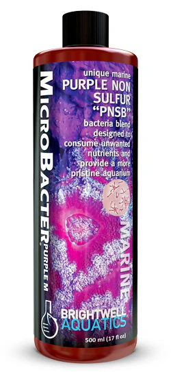 MicroBacter Purple M