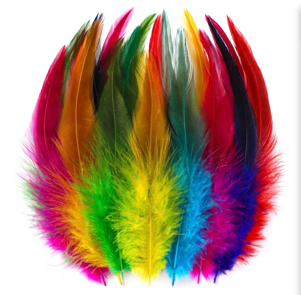 Feathers Bulk 5�� 200PCS Saddle Feathers 5804