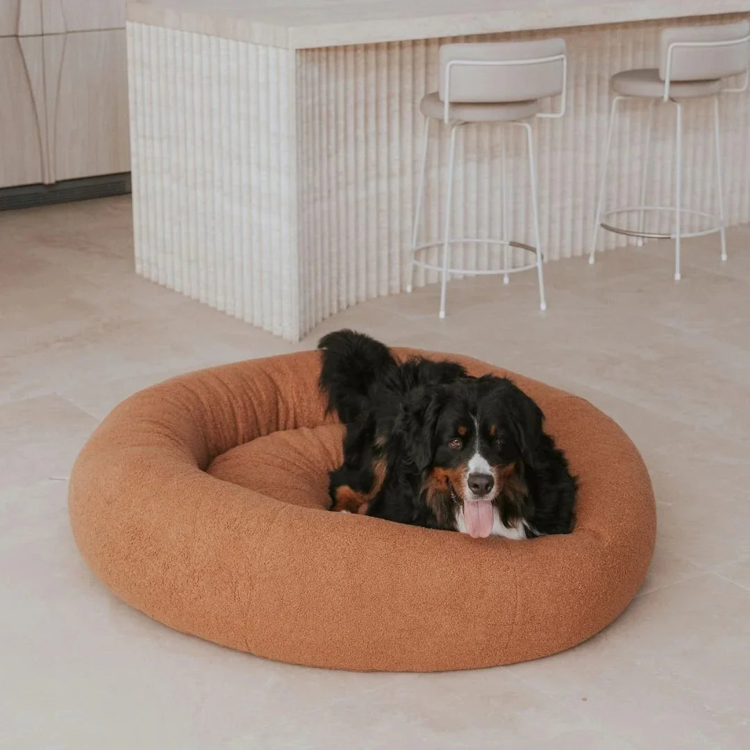 Premium Teddy Bed