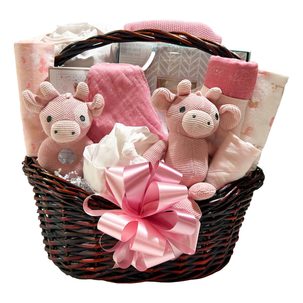 Baby Gift Baskets