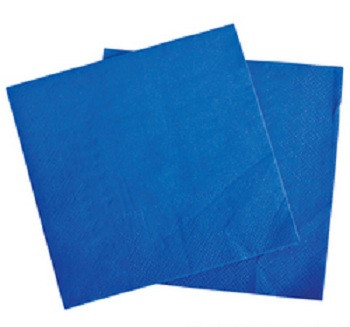 Blue Party Napkins 10