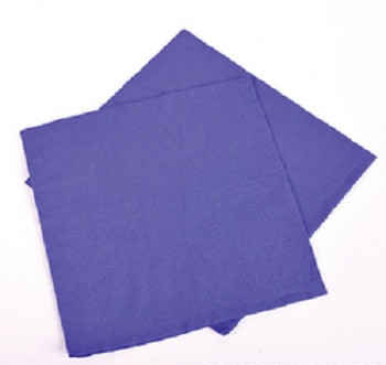 Purple Party Napkins 10