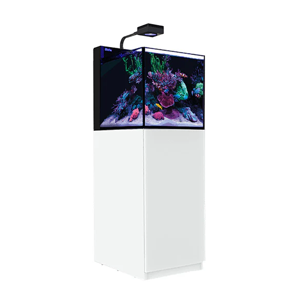MAX NANO G2 XL