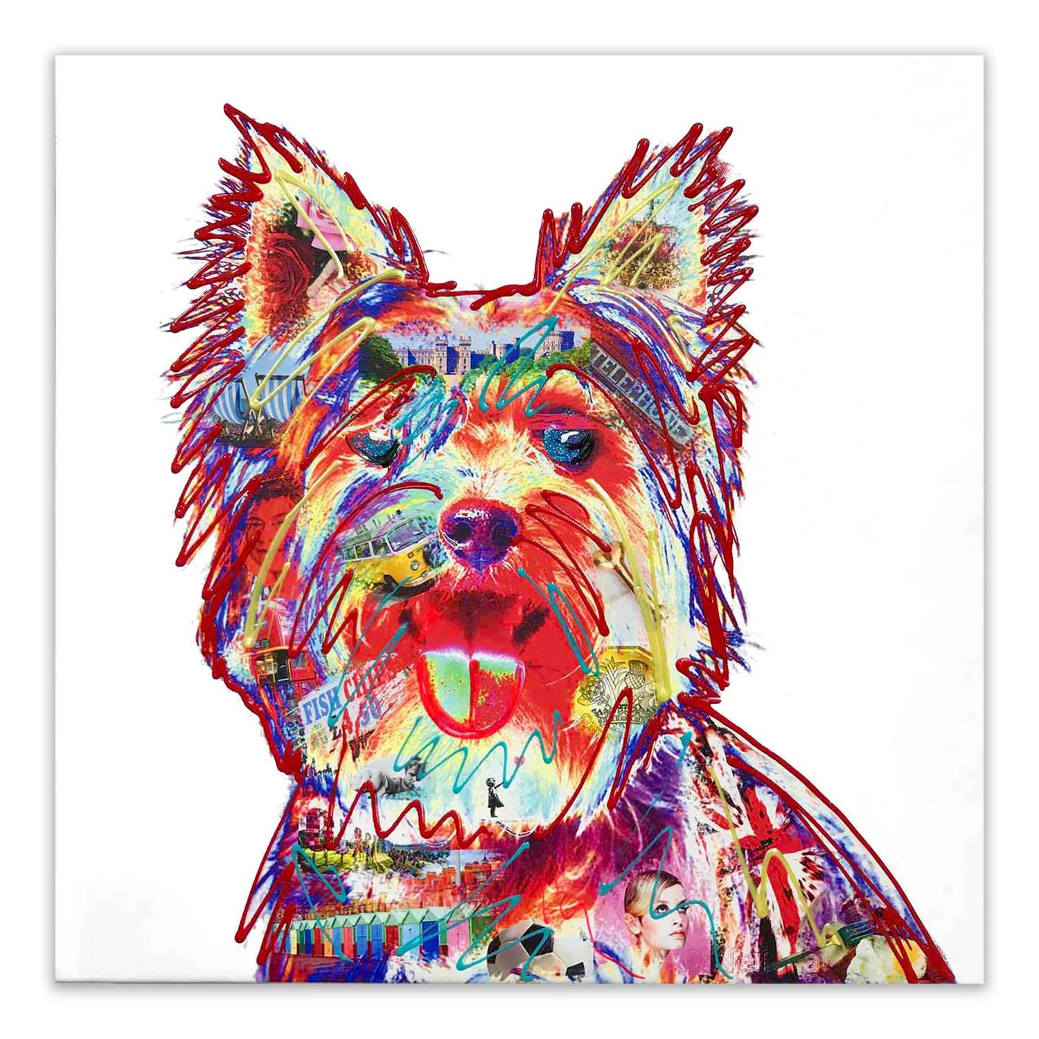 Yorkie