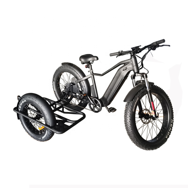 Electric tricycle OUKA-PNR03