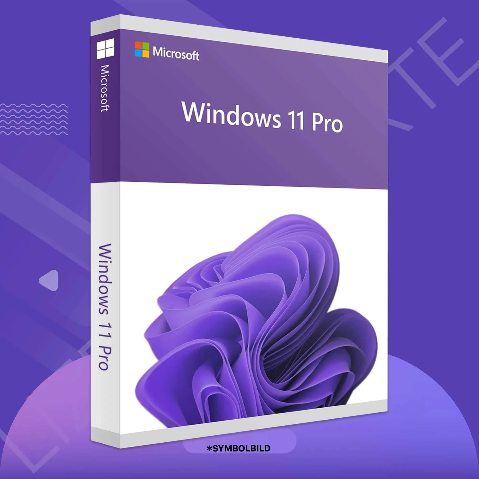 Windows 11 Professional