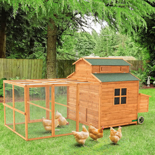 56�?Outdoor Weatherproof Wooden Chicken Coop, with nesting box, galvanized wire, asphalt roof and removable tray