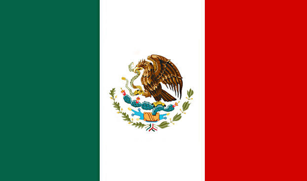 Mexican Flags 12 PACK  3' X 5' FT 9094