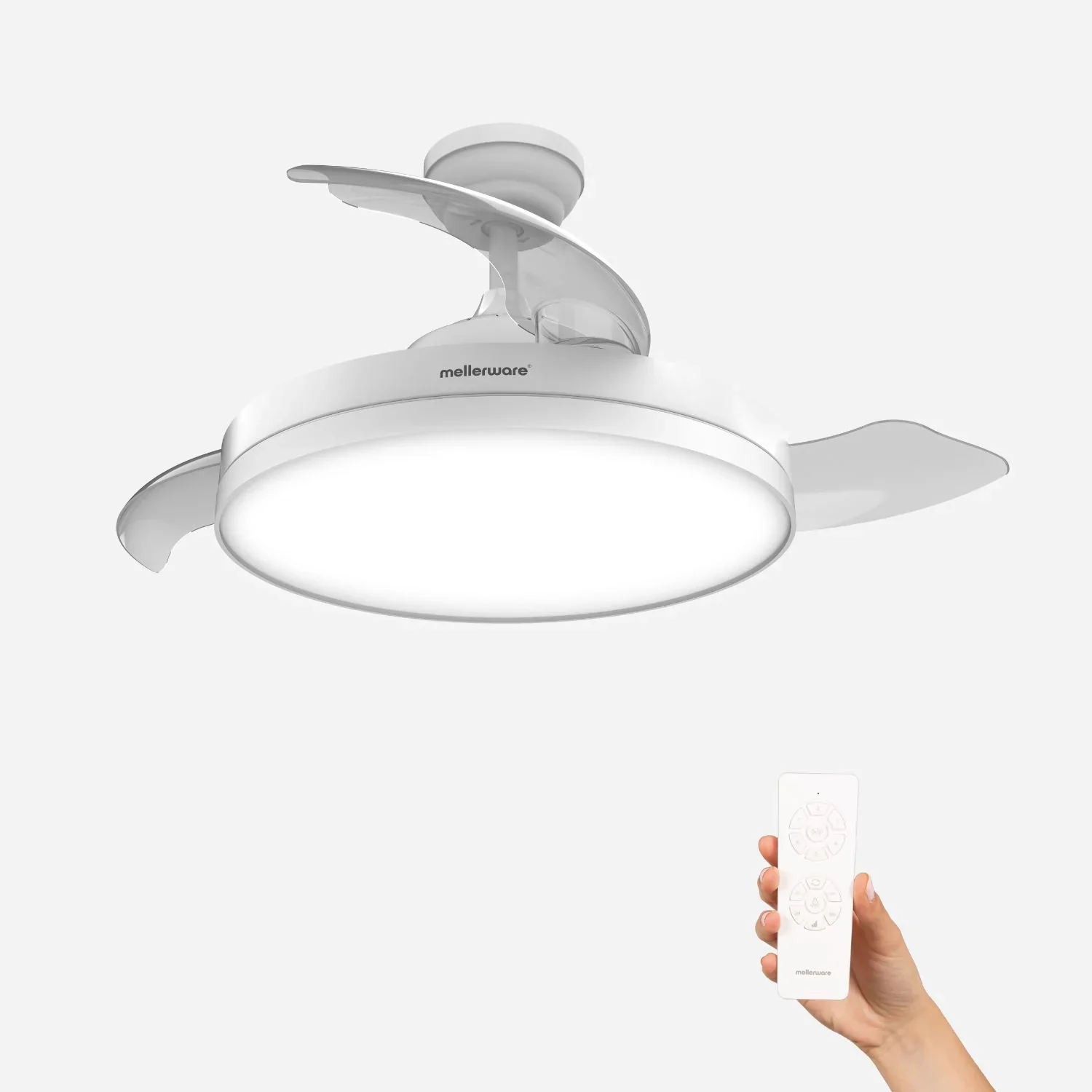 Brizy Bright Foldable