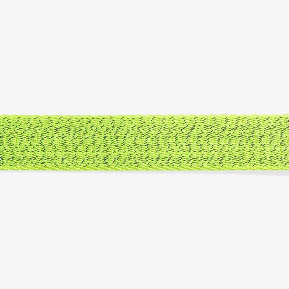 NOX Lumen | Cat Collar
