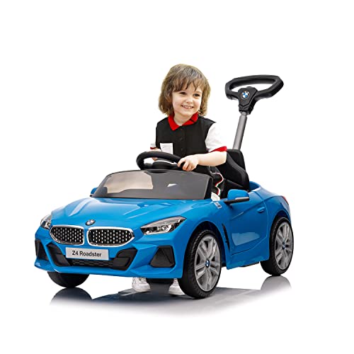 Voupou Toddlers Licensed Adjustable Birthday