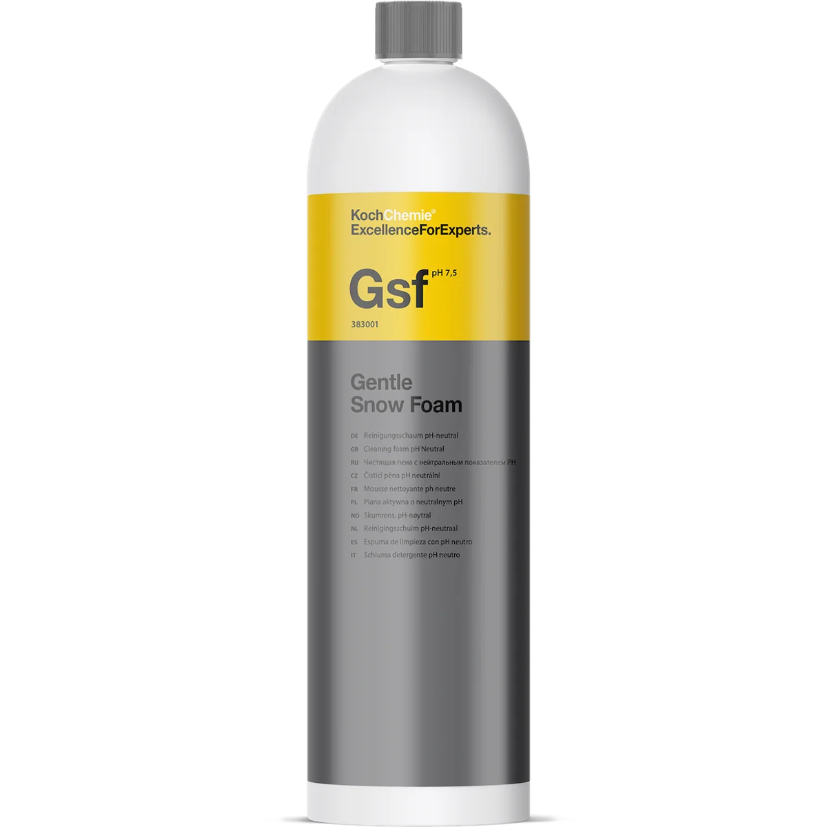 KOCH CHEMIE