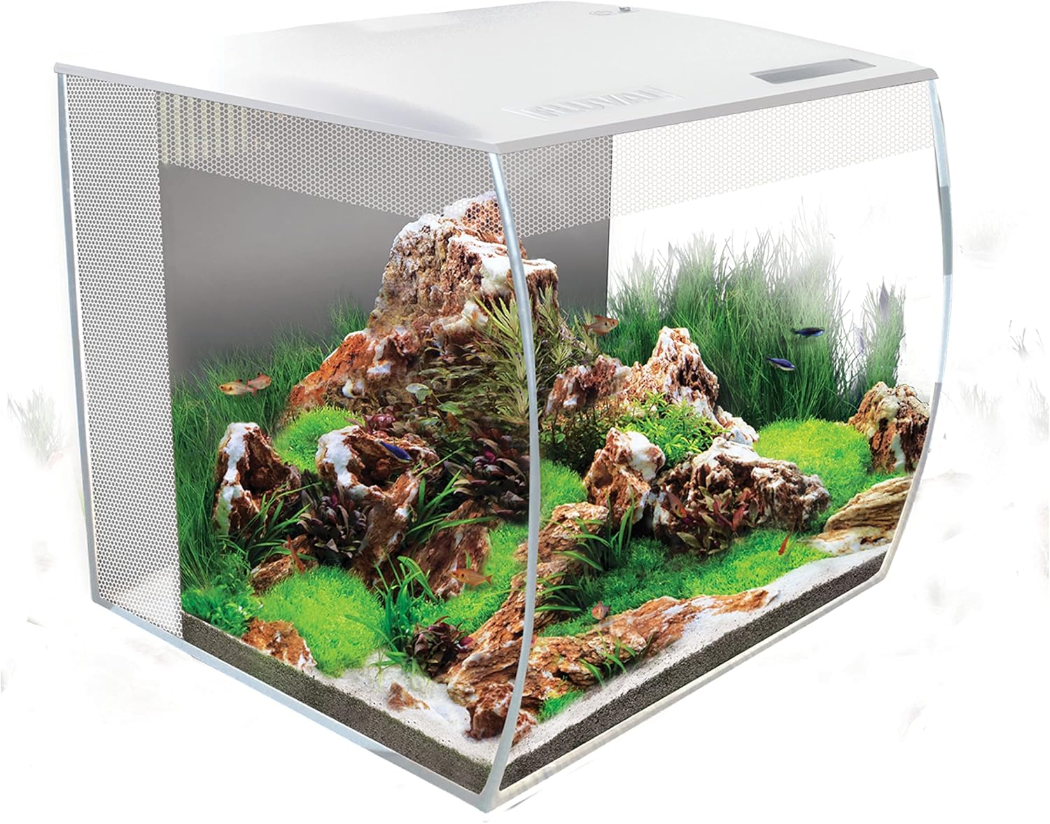 Fluval Flex Aquarium 123L, Süßwasser Aquarium, schwarz