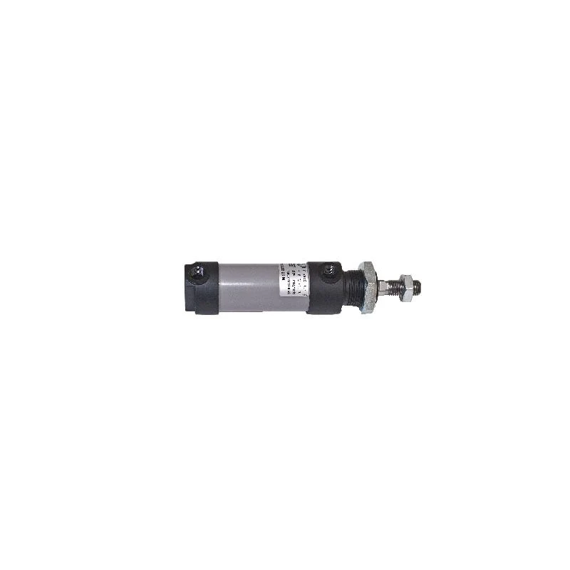 Pneumax 1231.16.100 - Cylinder to ISO 6432