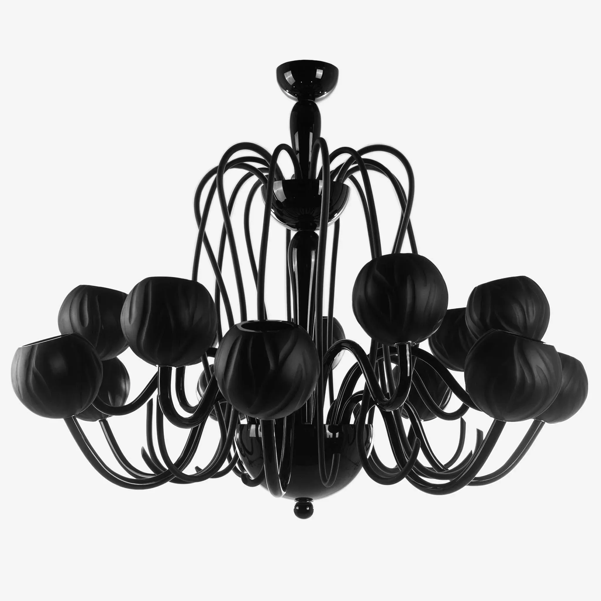 Roberto Cavalli BLACK