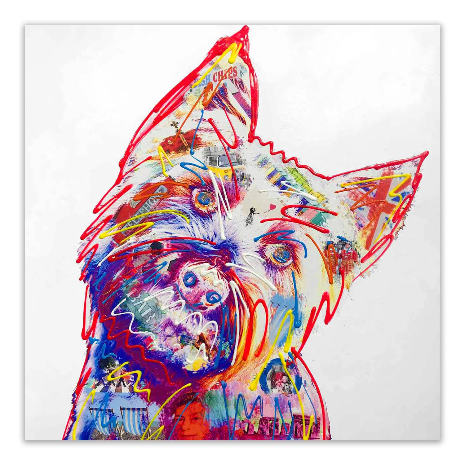 Wes Westie