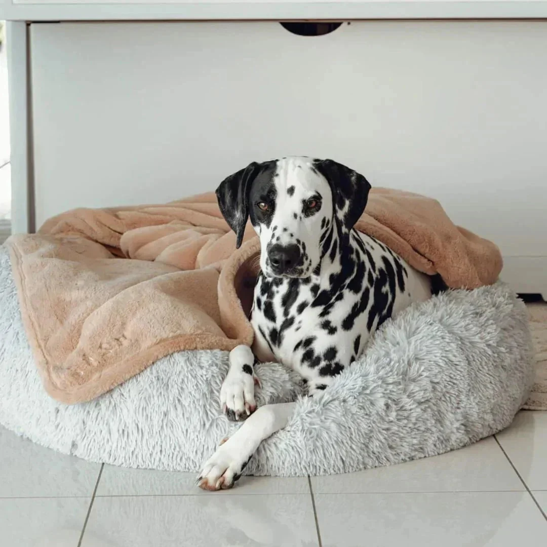 Double Weighted Luxury Blanket