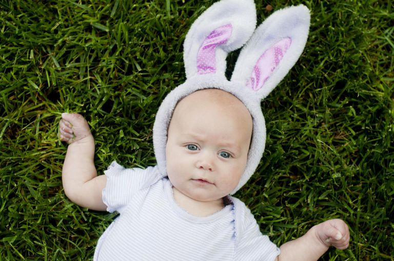 Bunny Ears Wholesale | White Bunny Ears Wholesale |  1671D