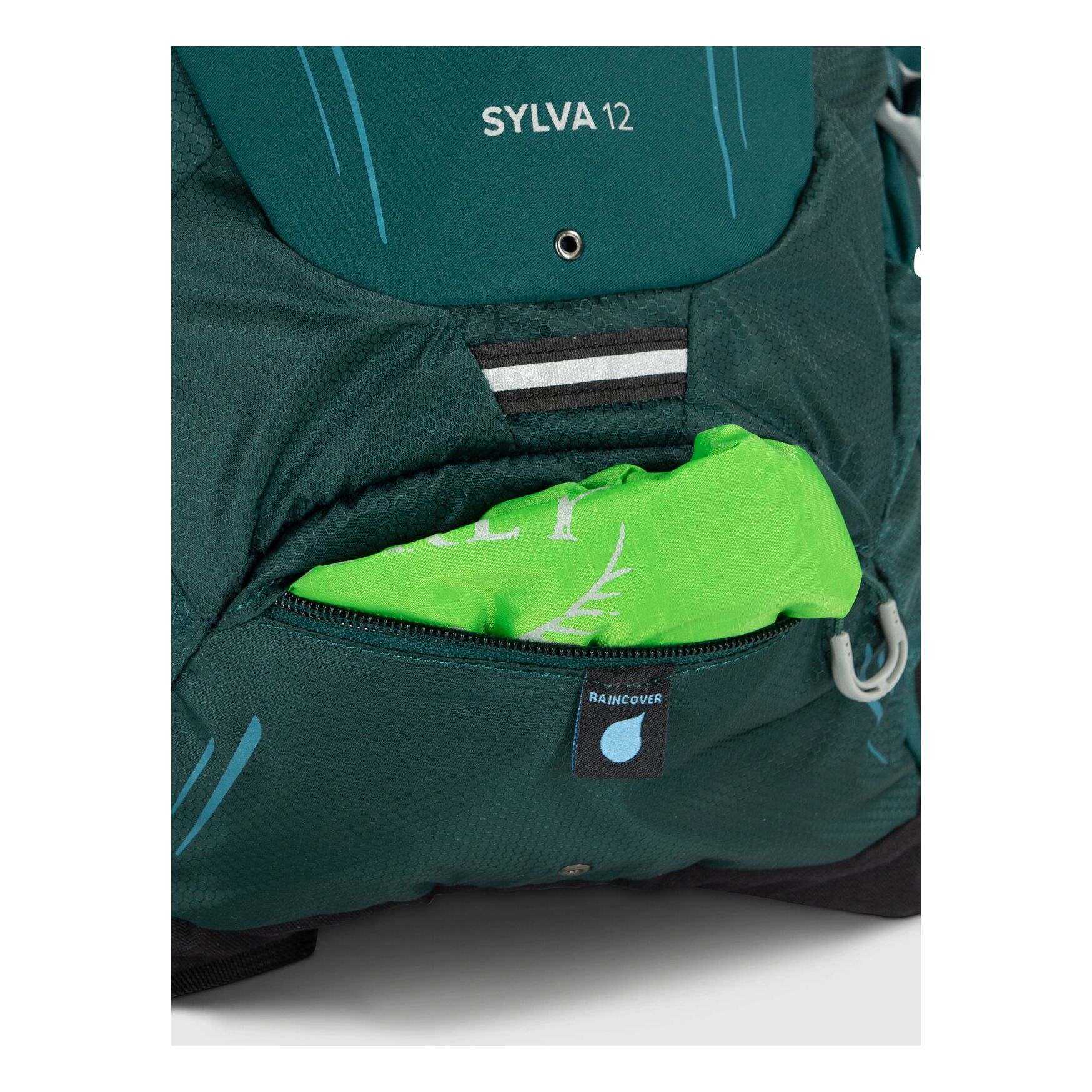Sylva 12