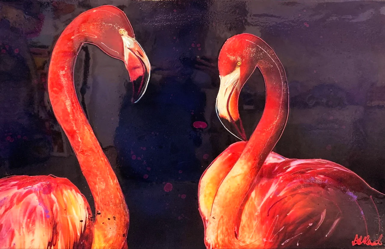 Flamingos