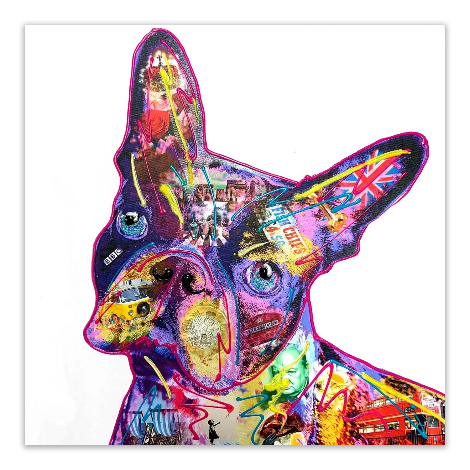 Bossie The Boston Terrier