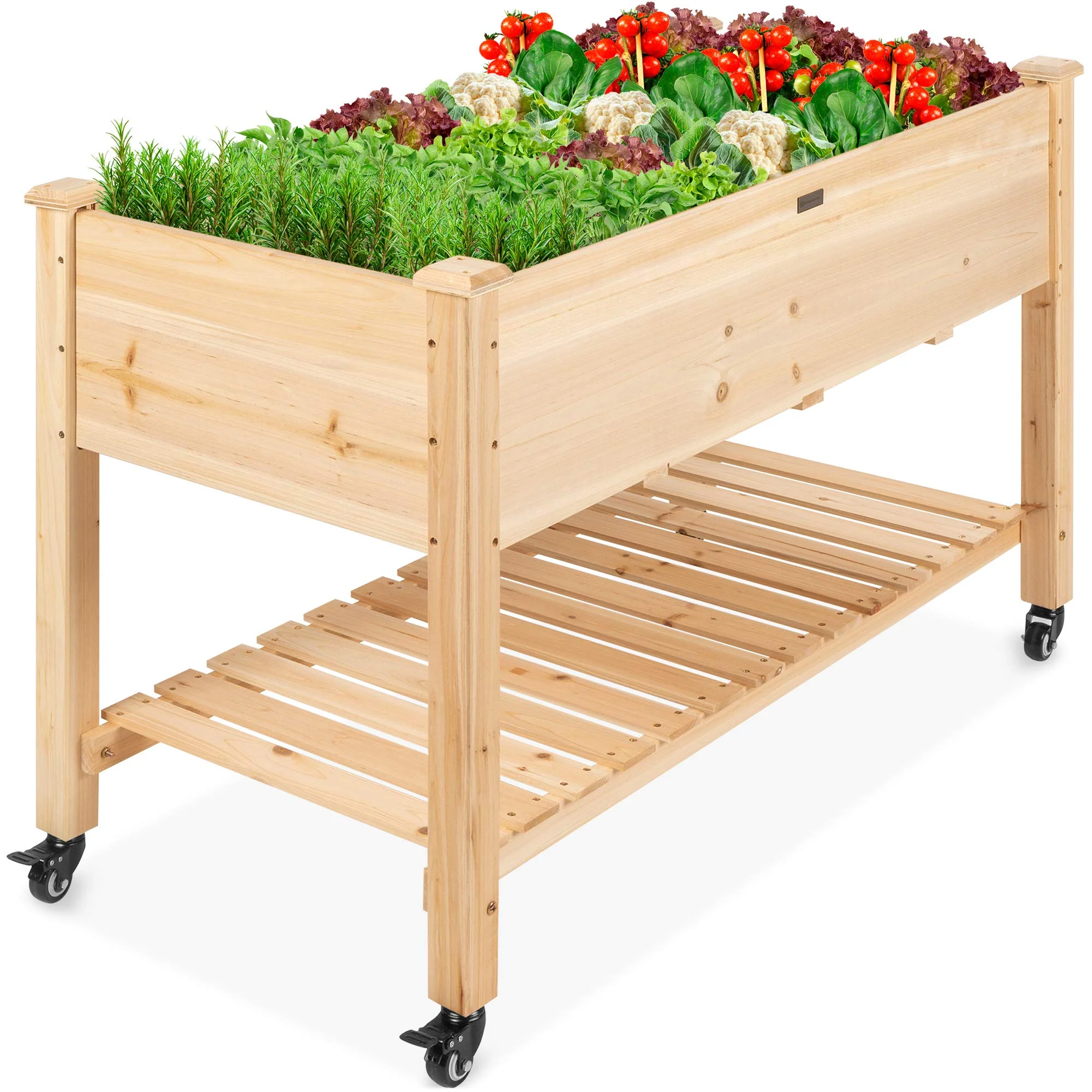 Best Choice Products Raised Garden Bed 48x24x32