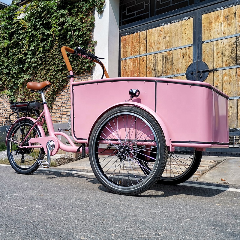 Electric tricycle SLS-0006-3