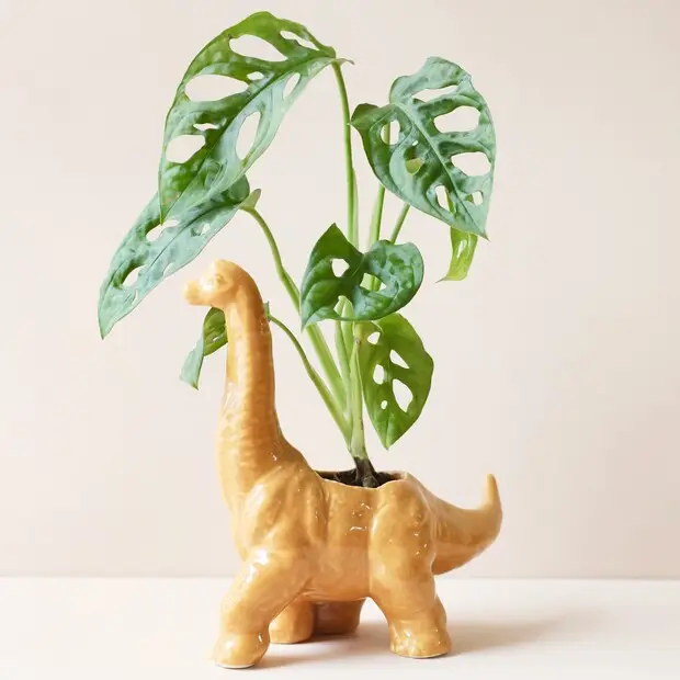 Ceramic Stegosaurus Planter